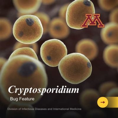  Cryptosporidium:  A Tiny Terror Causing Watery Woes and Uncomfortable Itches!