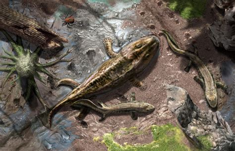  Ichthyostega:  A Creature With Fins That Crawled onto Land, Challenging Our Understanding of Evolution!