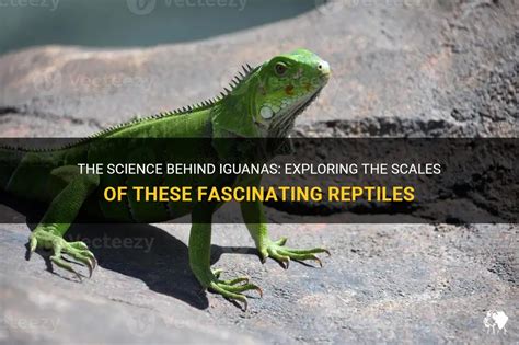  Iguanid! These Scales Tell Tales Of Ancient Origins And Sun-Soaked Adventures