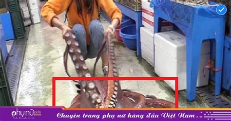  Thủy Trùng Tương Đối Lớn: Một Con Quái Vật Nhỏ Bấp Bệnh Với Khả Năng Sinh Sản Chóng Mặt Và Sức Mạnh Hoàn Hảo Của Sự Phục Sinh