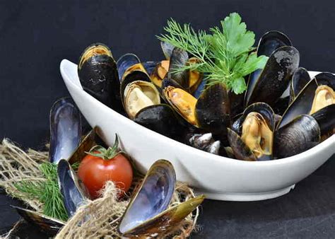  Yellow Mussel: Unlocking the Mysteries of These Vibrant Bivalves!